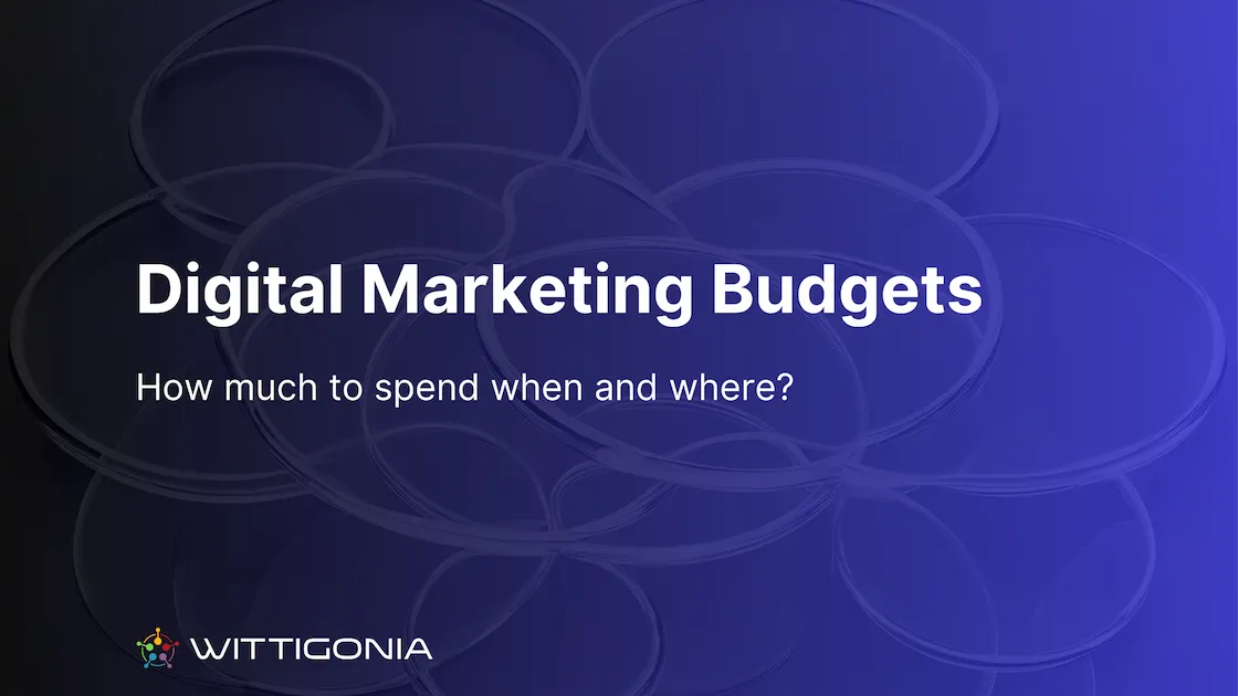 Optimizing Digital Marketing Budgets: How Much to Spend When and Where?